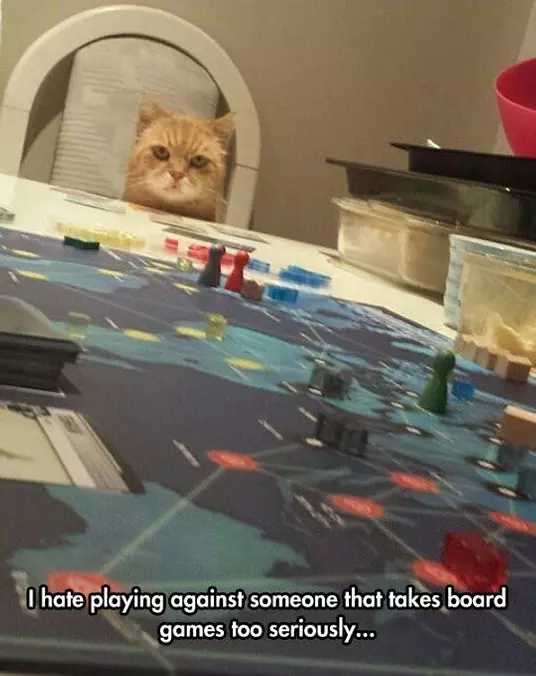 Board Games