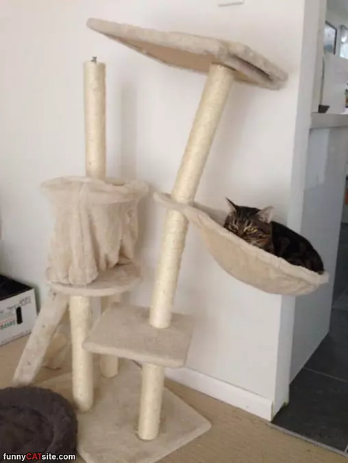 Hanging Around