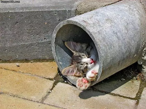 Where I Sleeps