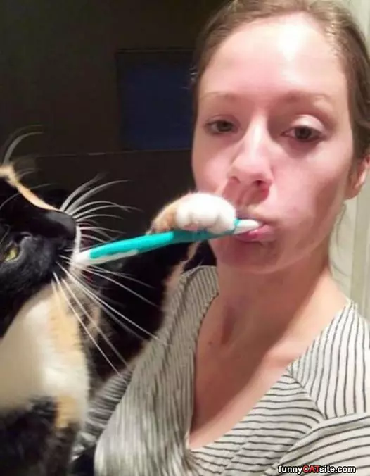 Let Me Help You With That