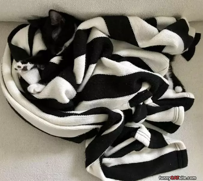 Bundled Up