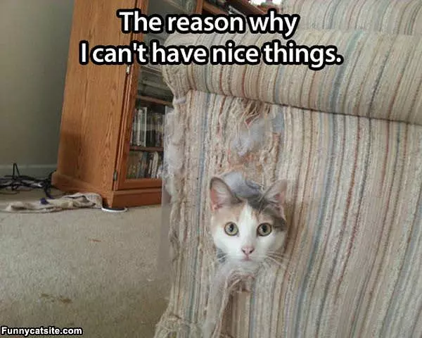 Nice Things