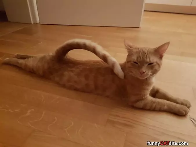 Soooo Stretched Out