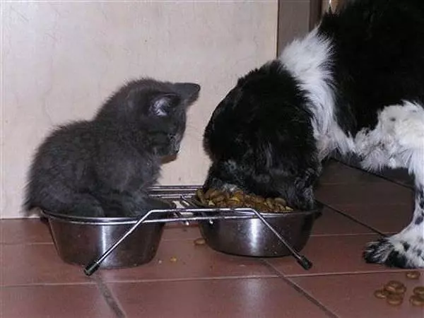 I Want Some Too
