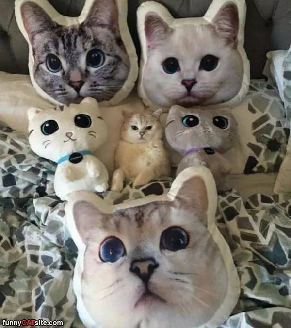 You Think This Is Funny
