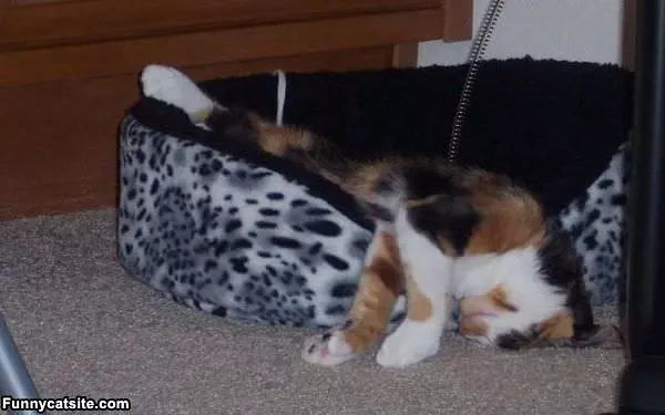 Upside Down Sleeper