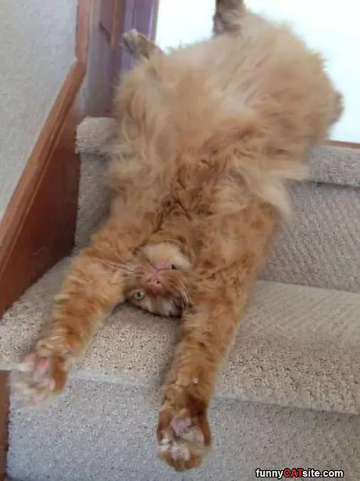 Rolling Down The Stairs