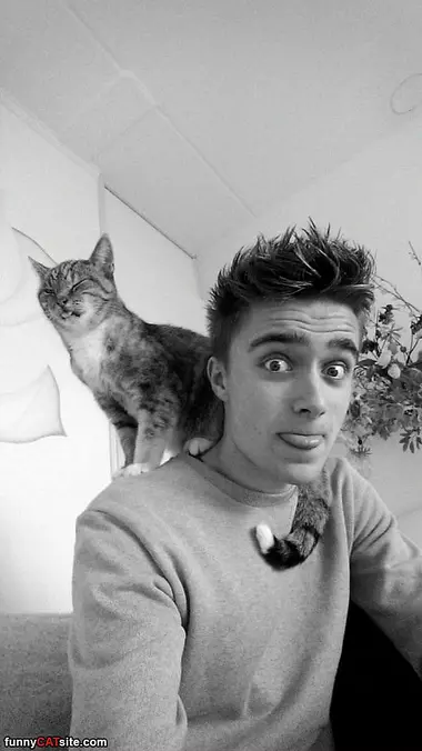 Cats Tongue