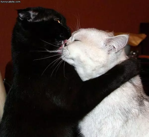 Let Me Get That