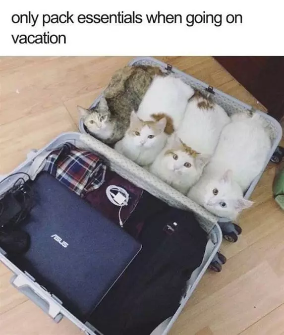 Only Pack