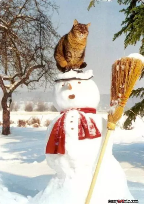 My Snowman