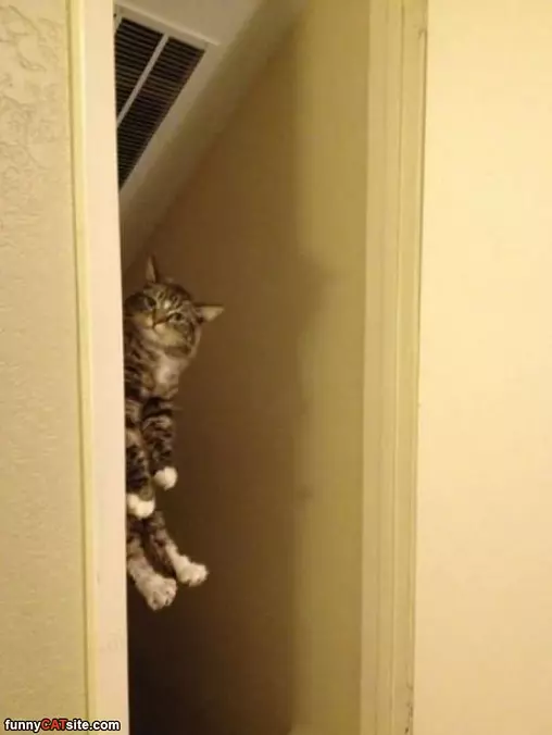 Peaking Around The Corner