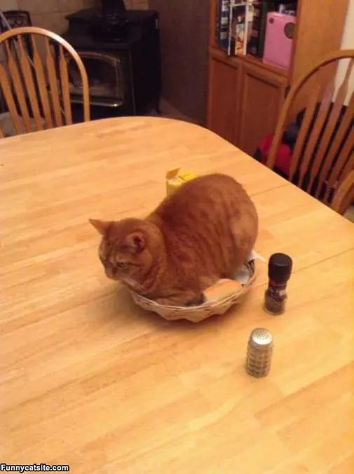 This Is My Basket