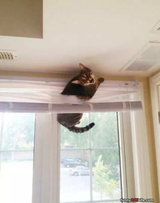 Getting Out Of Here