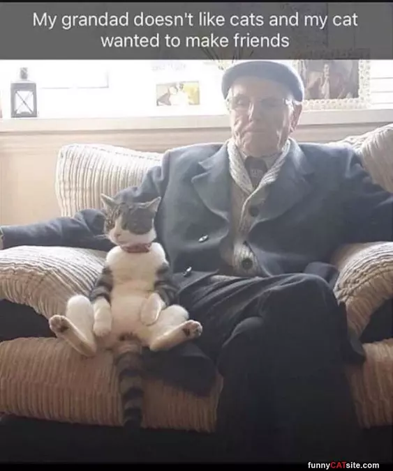 Making Friends