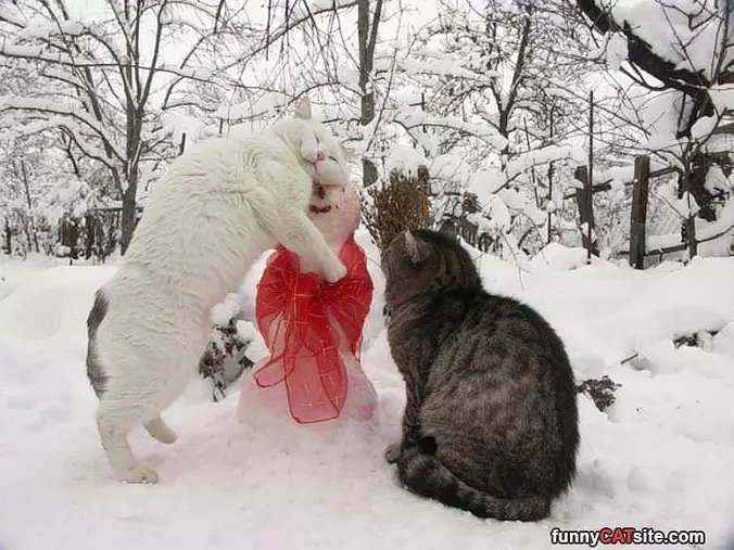 Oh Snowman