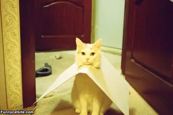 Ok Im Stuck