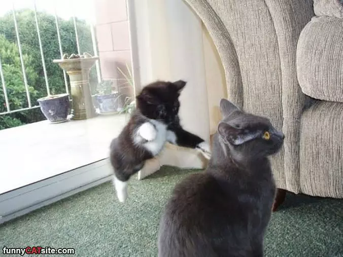 Jump Ninja Attack