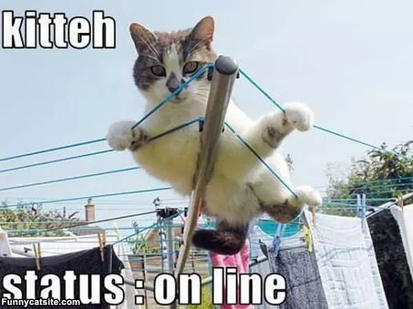 Status On Line