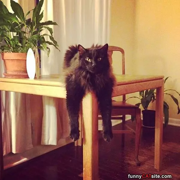 Sitting With Style