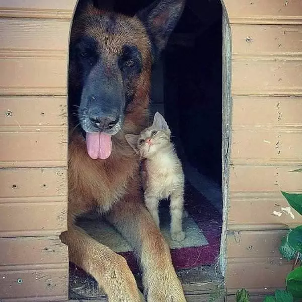 We Like Each Other