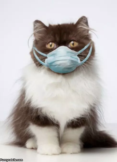 I Am A Nurse