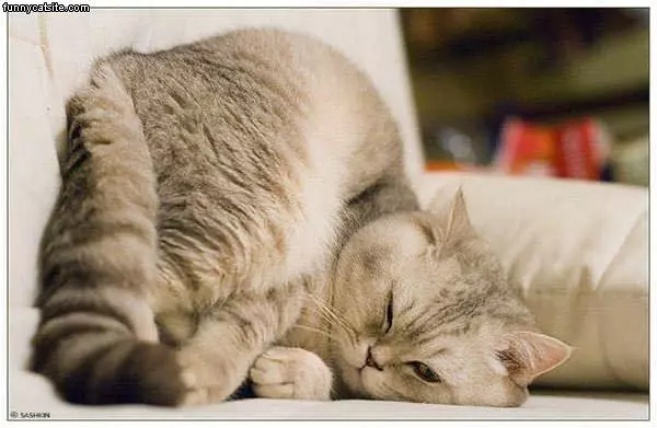I Sleeps Like This
