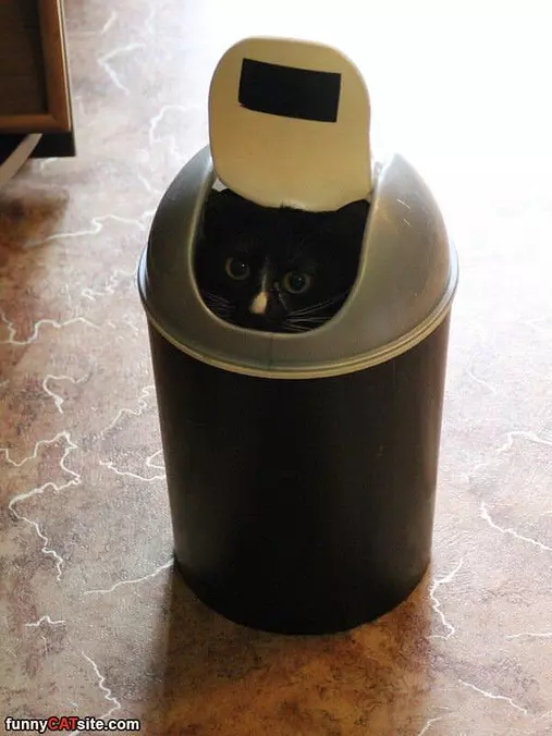 I See You Coming