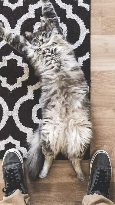 Just Relax