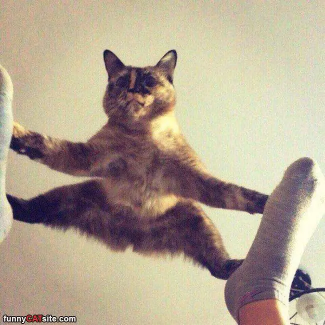 A Balancing Act