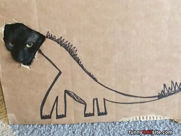 Rawrrrrr
