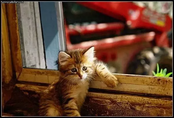 He Whats Up