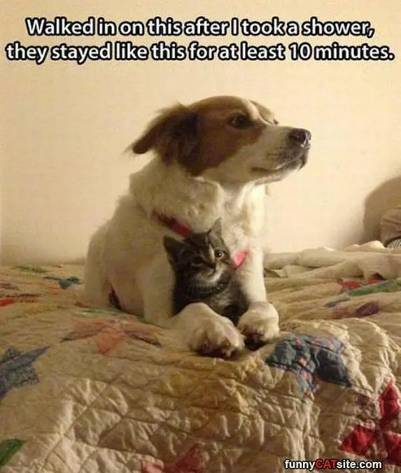 Cuddling Up Together