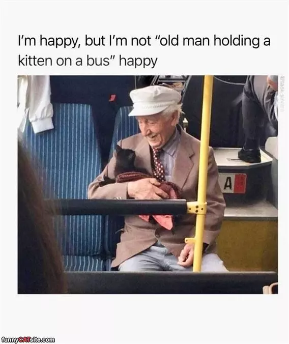 How Happy Are You