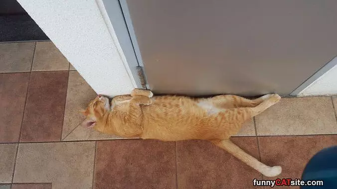 I Can Sleep Anywhere