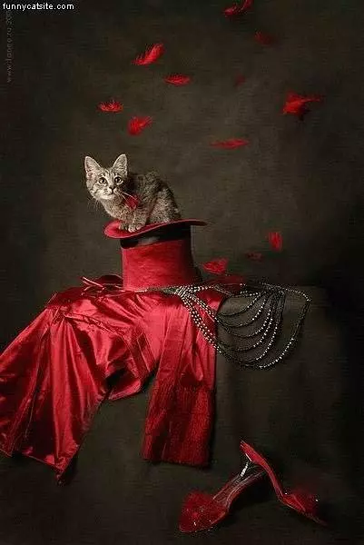 Red Is Your Color