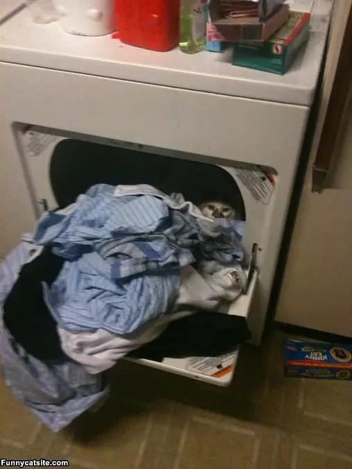 Hiding In The Dryer