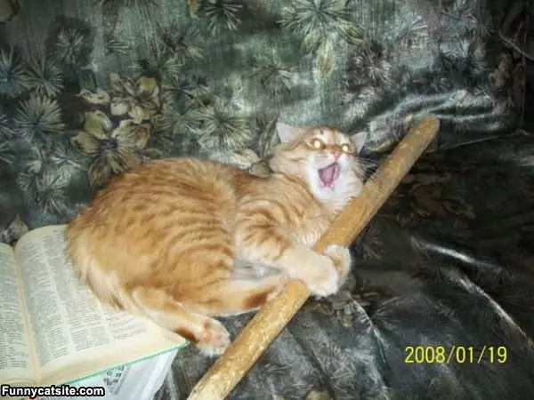 Take This Thing Away