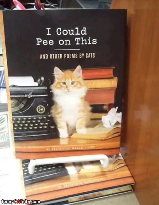 Poems By Cats