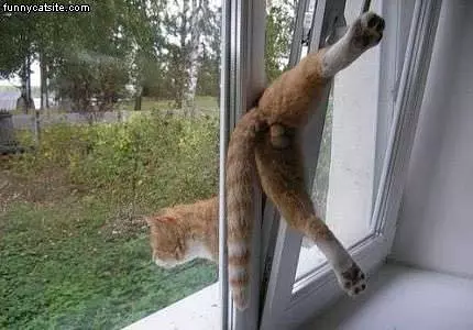Wants To Get Out