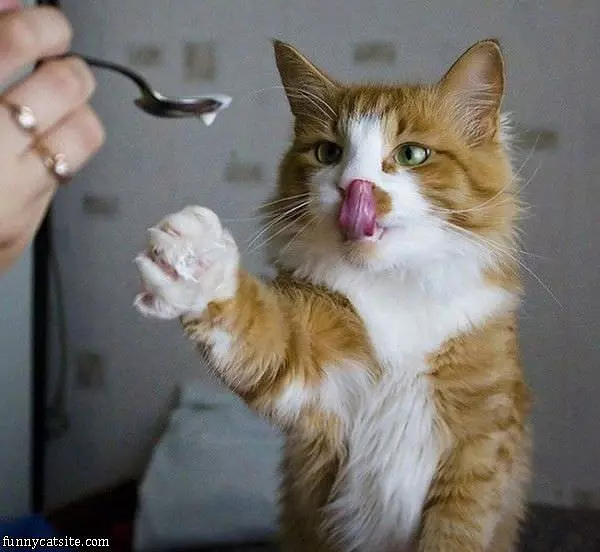 Another Please