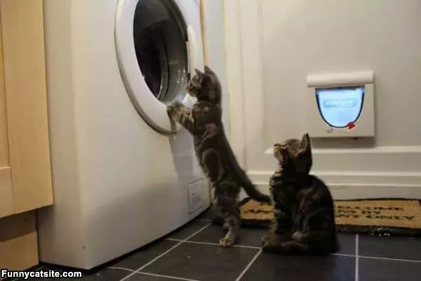 Let Me See Please