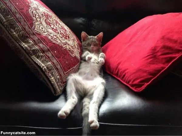 Perfect Place To Sleep
