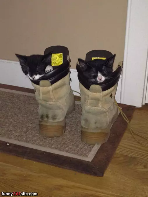 The Boots