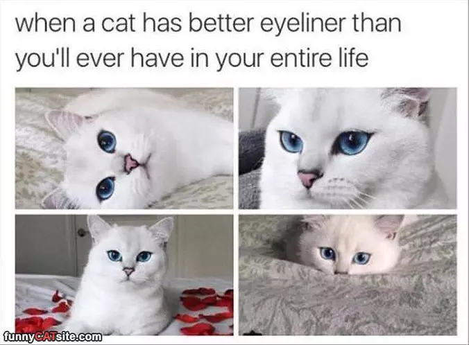 Eyeliner