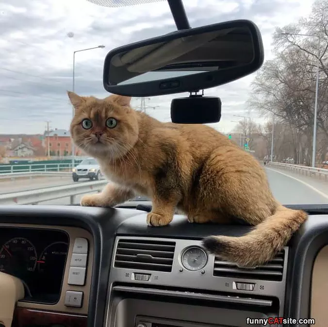Riding Fast
