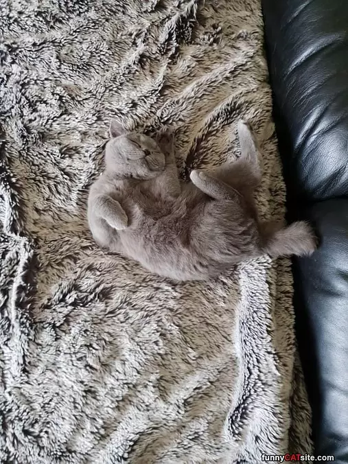 Chillin Down